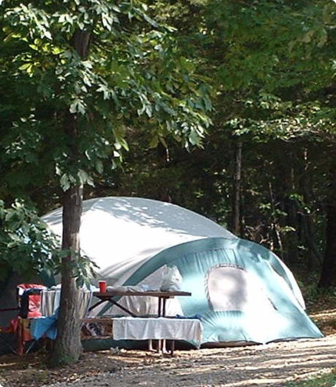 A large tent set up in a wooded campsite with a picnic table