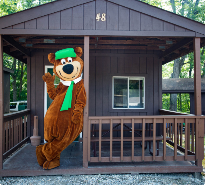brown bear and the cabin